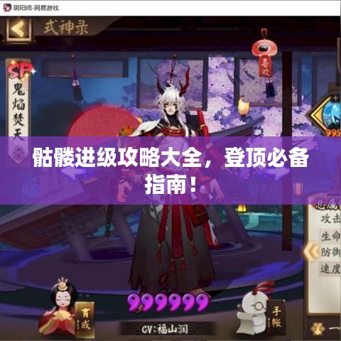 骷髅进级攻略大全，登顶必备指南！