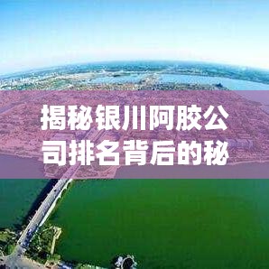 揭秘银川阿胶公司排名背后的秘密传奇故事