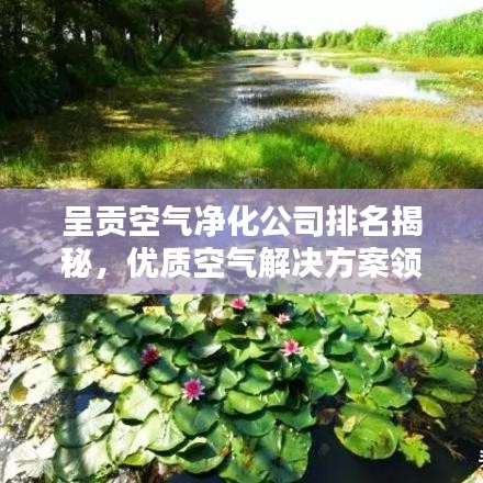 呈贡空气净化公司排名揭秘，优质空气解决方案领导者探寻