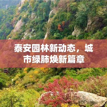 泰安园林新动态，城市绿肺焕新篇章