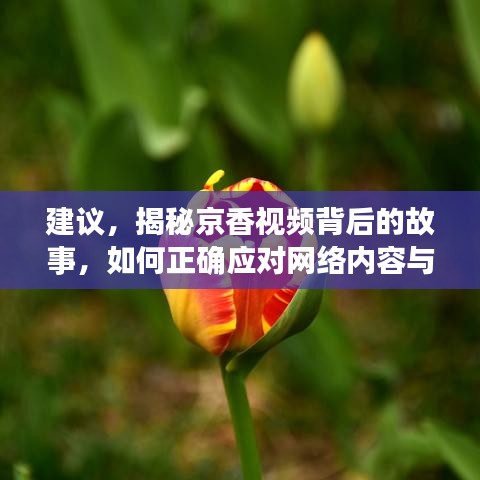 建议，揭秘京香视频背后的故事，如何正确应对网络内容与敏感话题？，文章内容摘要，本文将围绕京香视频展开探讨，介绍该关键词背后的故事以及网络内容中的敏感话题应对之道。作为博客站长，我们将保持中立态度，不回应不适宜的内容，同时为广大网友提供健康、正面的信息引导。我们将探讨如何正确看待网络内容，以及如何对待涉及敏感话题的视频和信息。同时，提醒广大网友保持理性思考，避免被不良内容所误导。