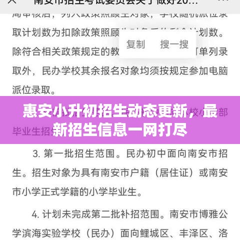 惠安小升初招生动态更新，最新招生信息一网打尽