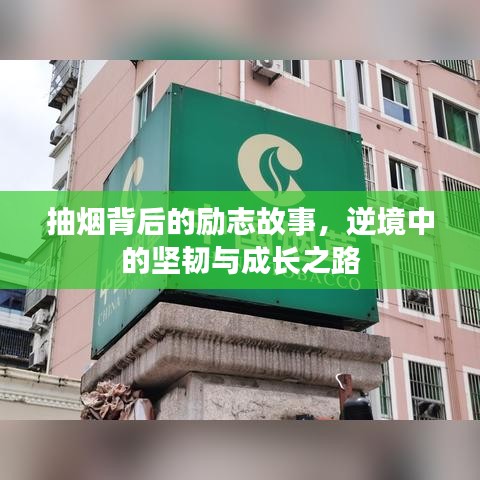 抽烟背后的励志故事，逆境中的坚韧与成长之路