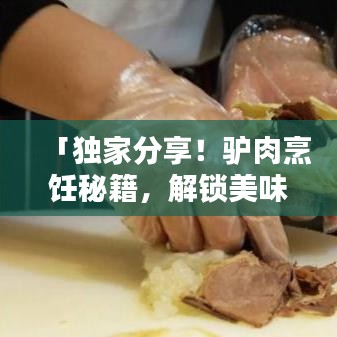 「独家分享！驴肉烹饪秘籍，解锁美味新境界！」——百度收录标准吸睛标题
