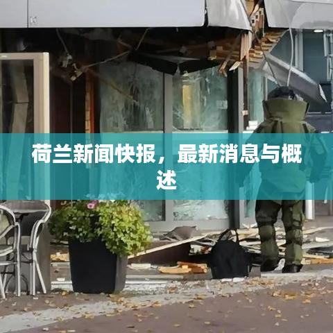 荷兰新闻快报，最新消息与概述