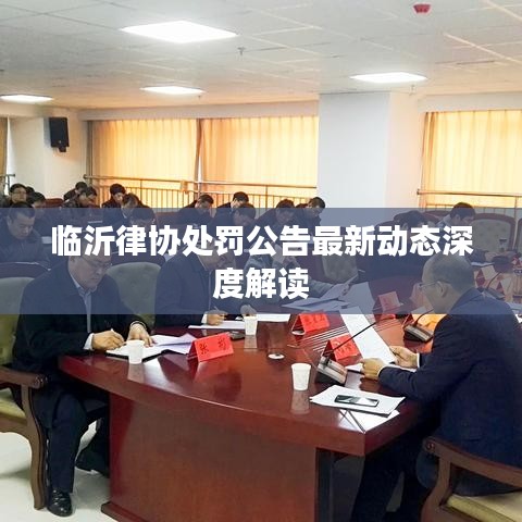 临沂律协处罚公告最新动态深度解读