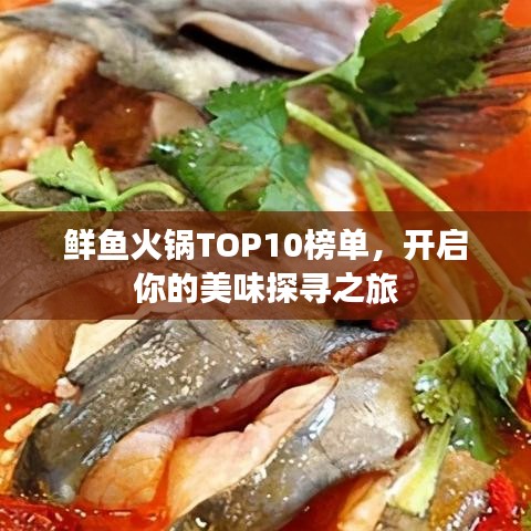 鲜鱼火锅TOP10榜单，开启你的美味探寻之旅