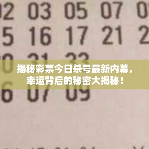 揭秘彩票今日杀号最新内幕，幸运背后的秘密大揭秘！