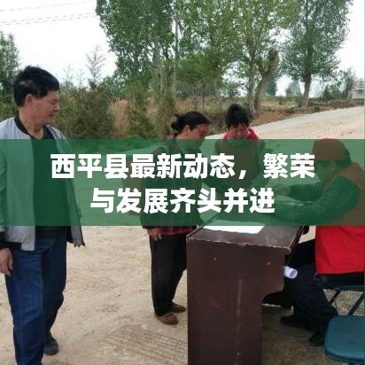 西平县最新动态，繁荣与发展齐头并进