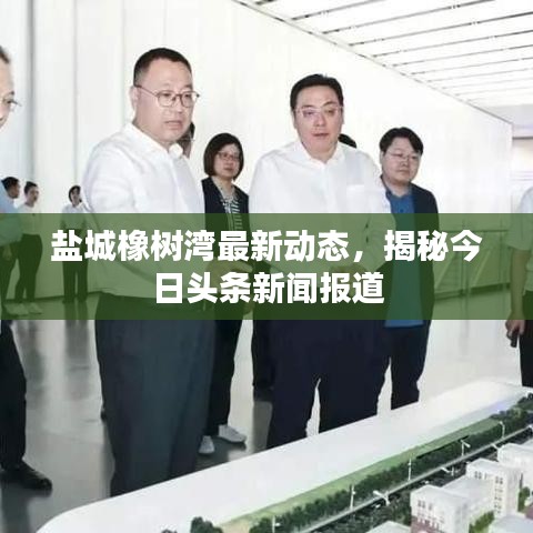 盐城橡树湾最新动态，揭秘今日头条新闻报道