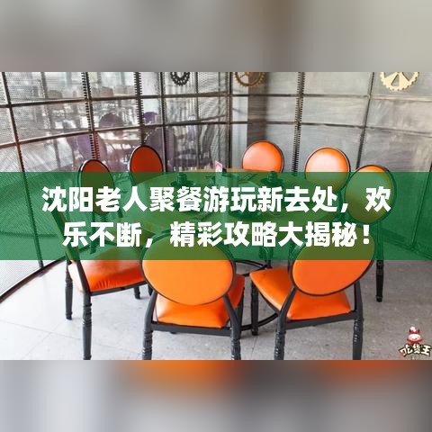 沈阳老人聚餐游玩新去处，欢乐不断，精彩攻略大揭秘！