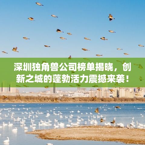 深圳独角兽公司榜单揭晓，创新之城的蓬勃活力震撼来袭！