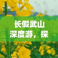长假武山深度游，探寻神秘自然与文化的绝佳之旅