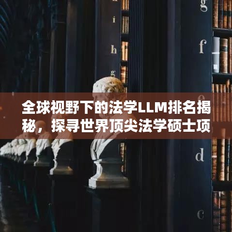 2025年6月11日 第13页