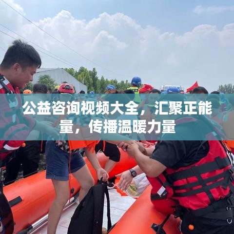 公益咨询视频大全，汇聚正能量，传播温暖力量