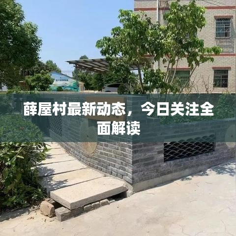 薛屋村最新动态，今日关注全面解读
