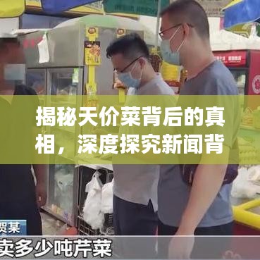 揭秘天价菜背后的真相，深度探究新闻背后的故事