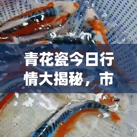 青花瓷今日行情大揭秘，市场走势与专业解读一网打尽