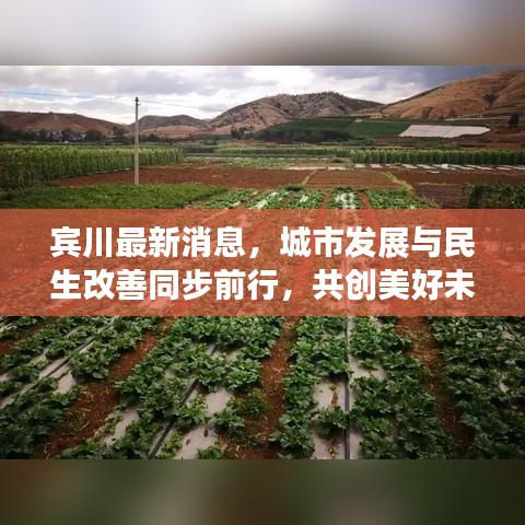 宾川最新消息，城市发展与民生改善同步前行，共创美好未来
