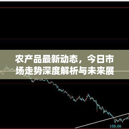 农产品最新动态，今日市场走势深度解析与未来展望