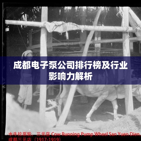 成都电子泵公司排行榜及行业影响力解析