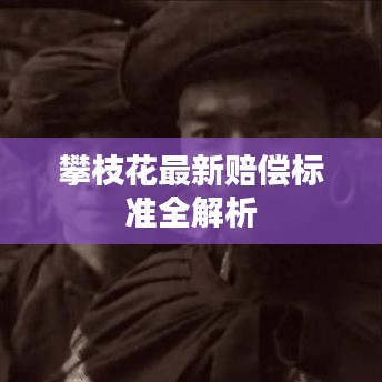 攀枝花最新赔偿标准全解析