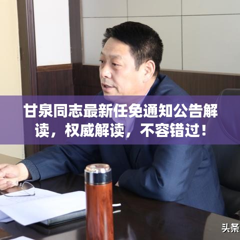 甘泉同志最新任免通知公告解读，权威解读，不容错过！