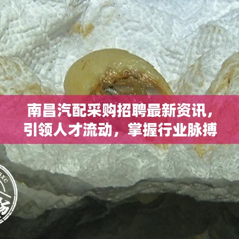 南昌汽配采购招聘最新资讯，引领人才流动，掌握行业脉搏！