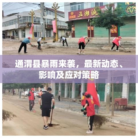 通渭县暴雨来袭，最新动态、影响及应对策略