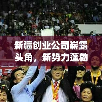 新疆创业公司崭露头角，新势力蓬勃发展的秘密大揭秘！