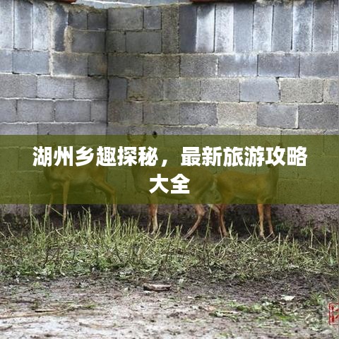 湖州乡趣探秘，最新旅游攻略大全