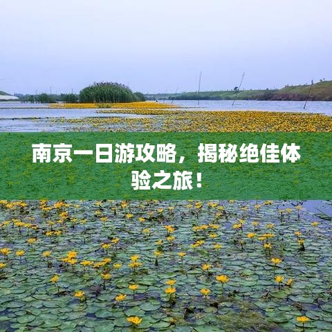 南京一日游攻略，揭秘绝佳体验之旅！