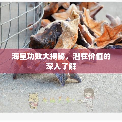 海星功效大揭秘，潜在价值的深入了解