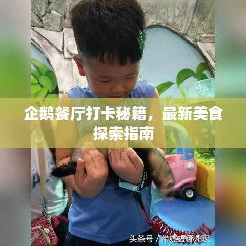 企鹅餐厅打卡秘籍，最新美食探索指南