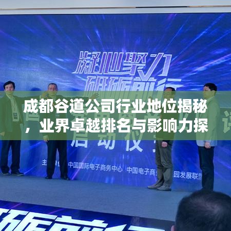成都谷道公司行业地位揭秘，业界卓越排名与影响力探寻
