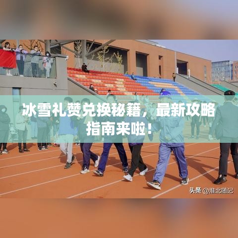 冰雪礼赞兑换秘籍，最新攻略指南来啦！