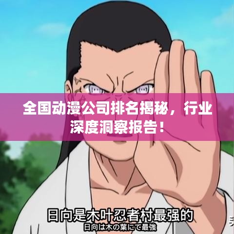 全国动漫公司排名揭秘，行业深度洞察报告！