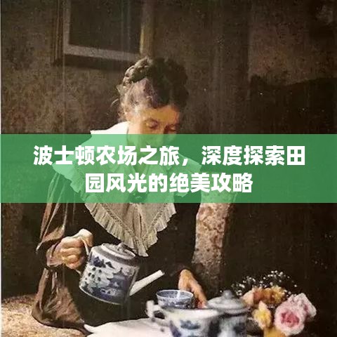 波士顿农场之旅，深度探索田园风光的绝美攻略