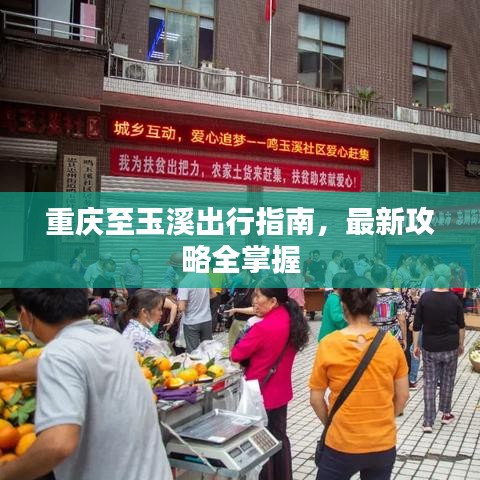 重庆至玉溪出行指南，最新攻略全掌握