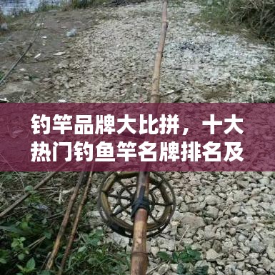 钓竿品牌大比拼，十大热门钓鱼竿名牌排名及解析！