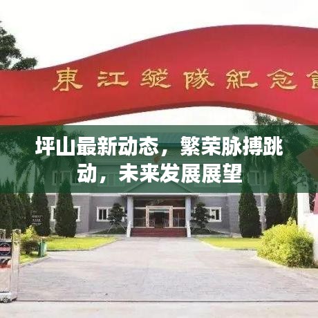 坪山最新动态，繁荣脉搏跳动，未来发展展望