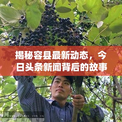 揭秘容县最新动态，今日头条新闻背后的故事