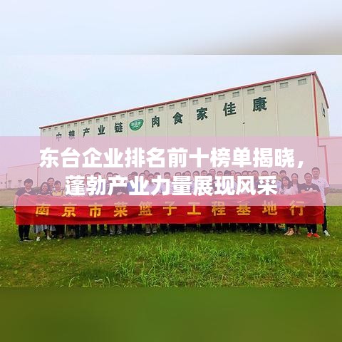 东台企业排名前十榜单揭晓，蓬勃产业力量展现风采
