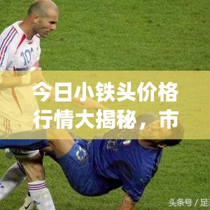 今日小铁头价格行情大揭秘，市场走势分析与预测