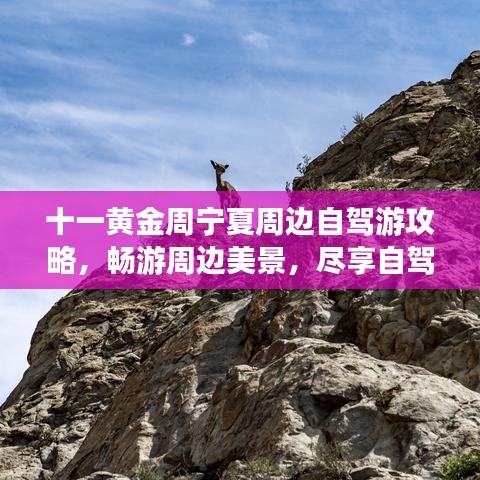 十一黄金周宁夏周边自驾游攻略，畅游周边美景，尽享自驾乐趣