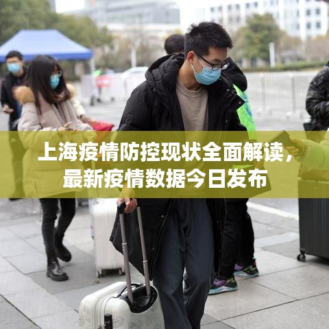 上海疫情防控现状全面解读，最新疫情数据今日发布