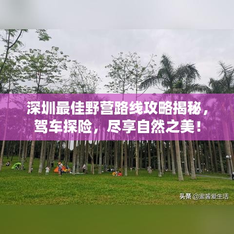 深圳最佳野营路线攻略揭秘，驾车探险，尽享自然之美！