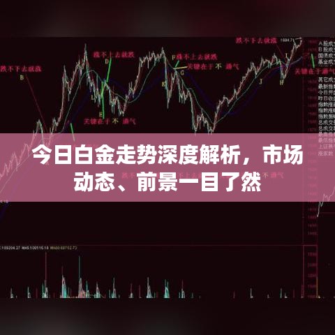 今日白金走势深度解析，市场动态、前景一目了然