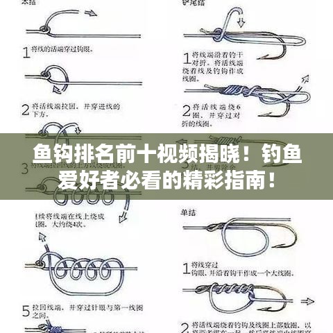 鱼钩排名前十视频揭晓！钓鱼爱好者必看的精彩指南！