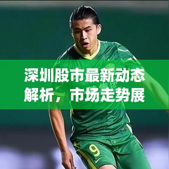 深圳股市最新动态解析，市场走势展望与深度分析